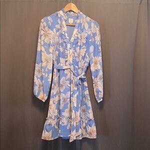 Joie Blue and White Floral Dress
